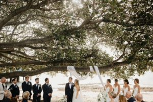 Wedding Ceremony under the Fig Tree